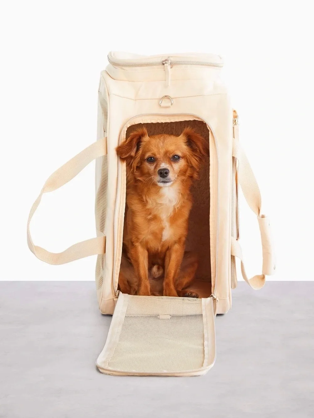 NWOT BÉIS The Regulation Pet Carry-On in Beige — Discontinued/HTF!